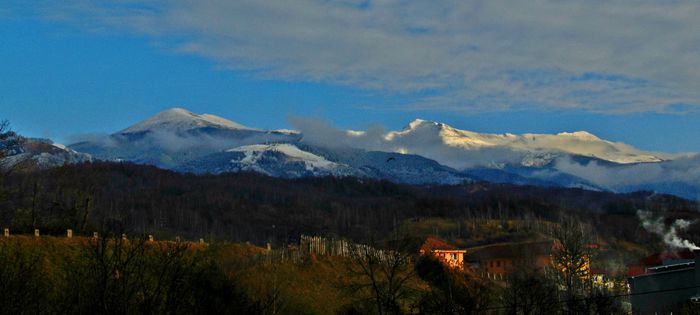 DSC00072B