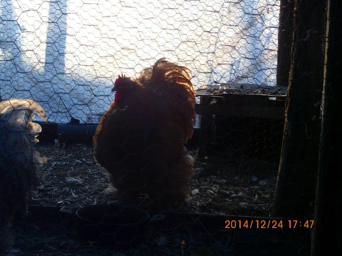 1836619_1581486528751813_6982830392565869068_o