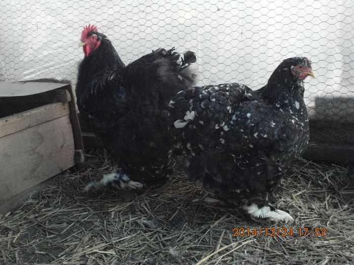 10479892_1581487015418431_3730843588518405647_o