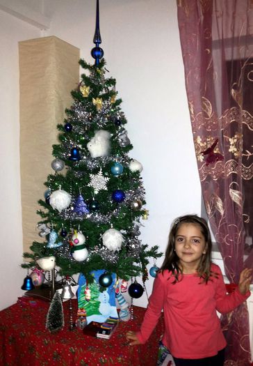 2014 - AMALIA