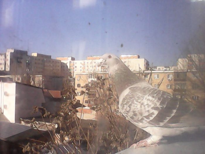  - CRACIUN 2014