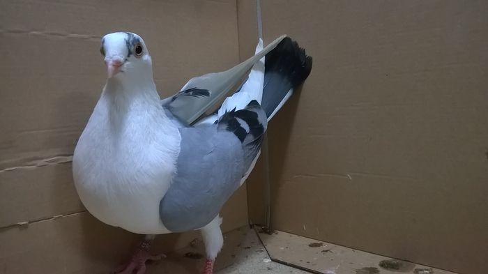 = M 2014 = - 5-PUI 2014