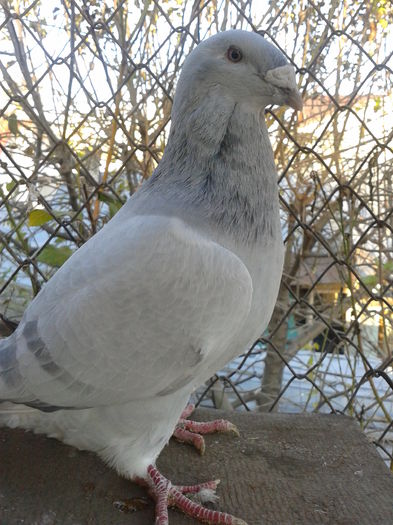 Fotografie0108 - Standard