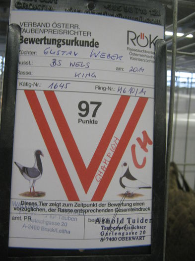 Ausst_Wels_ 242