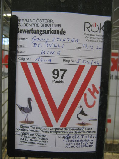 Ausst_Wels_ 245
