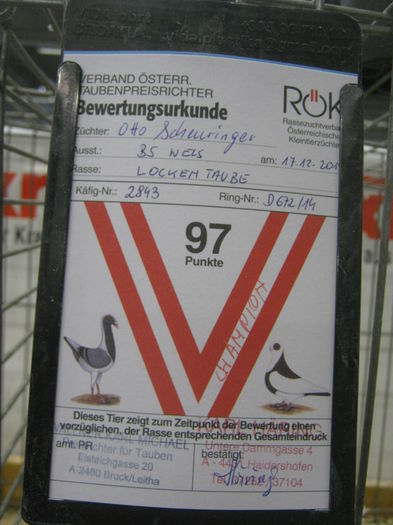 Ausst_Wels_ 253