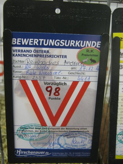 Ausst_Wels_ 047