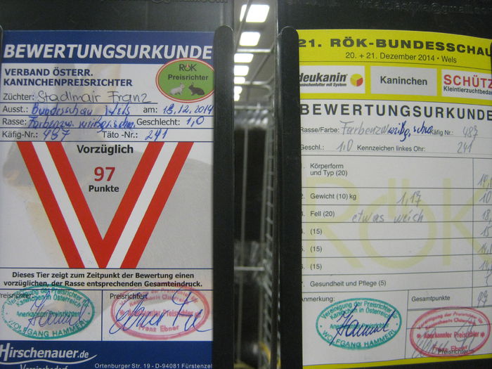 Ausst_Wels_ 094 - expo Wels 2014 20-21 dec