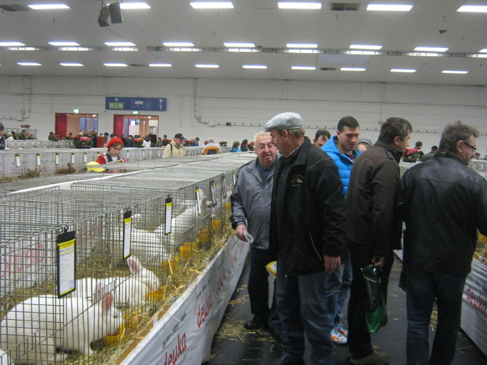 Ausst_Wels_ 116 - expo Wels 2014 20-21 dec