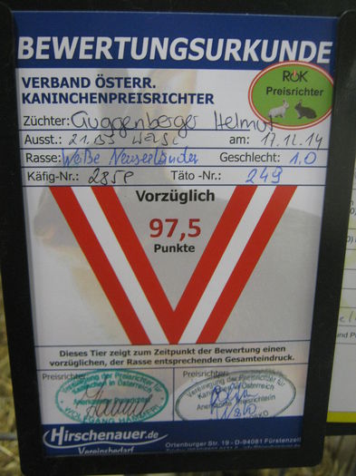 Ausst_Wels_ 136 - expo Wels 2014 20-21 dec