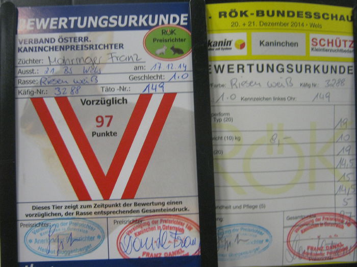 Ausst_Wels_ 155 - expo Wels 2014 20-21 dec