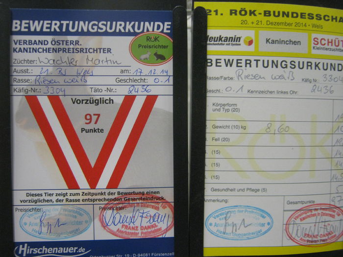 Ausst_Wels_ 164 - expo Wels 2014 20-21 dec