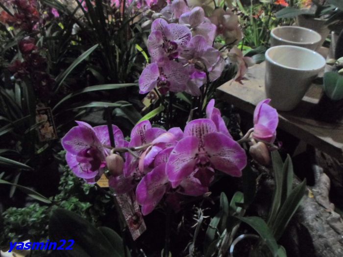 025   Dec.2014