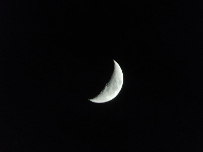 DSC00184