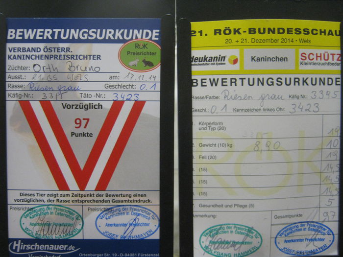 Ausst_Wels_ 180 - expo Wels 2014 20-21 dec