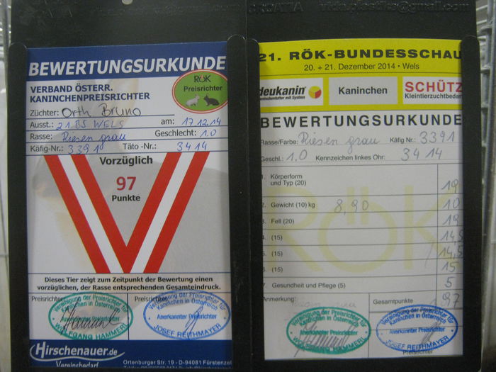 Ausst_Wels_ 184 - expo Wels 2014 20-21 dec