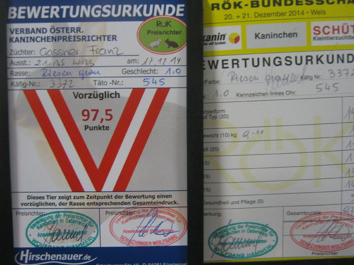 Ausst_Wels_ 187 - expo Wels 2014 20-21 dec