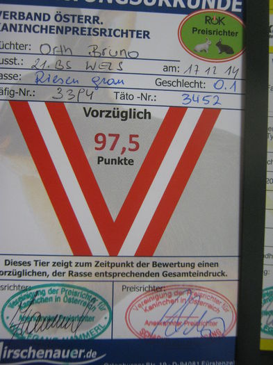 Ausst_Wels_ 197 - expo Wels 2014 20-21 dec