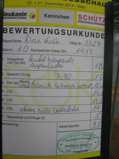 Ausst_Wels_ 205 - expo Wels 2014 20-21 dec