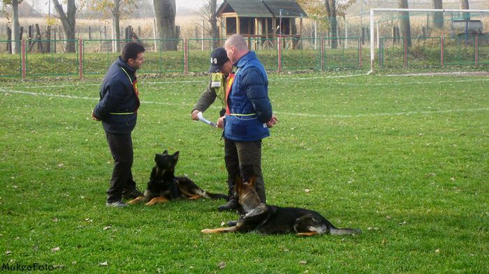 la campionatul national CNCG de lucru; la campionatul national CNCG de lucru
