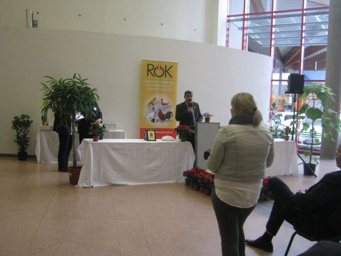 Ausst_Wels_ 300 - expo Wels 2014 20-21 dec