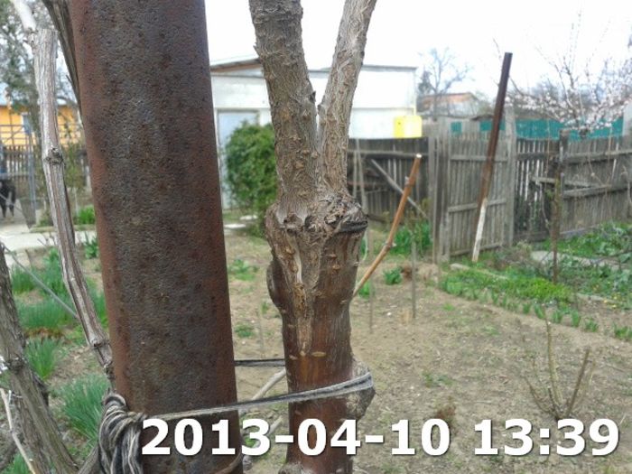 2013-04-10 13.39.4110