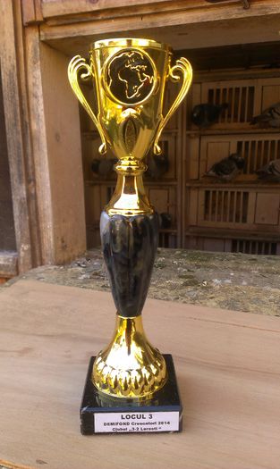 LOC 3 DEMIFOND CRESC 2014 CLUB