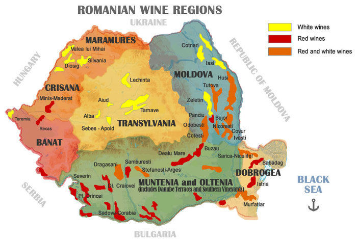 LOCATIE PENTRU VIZITATORI RECUNOSCUTA CA ZONA CU VINURI ALBE; LECHINTA :Vinuri albe
