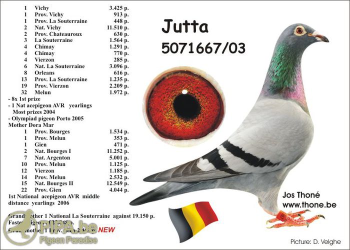 Jutta Bunica  M 2013-997508