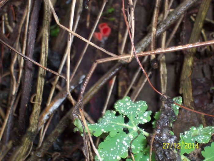 100_6332 - diverse