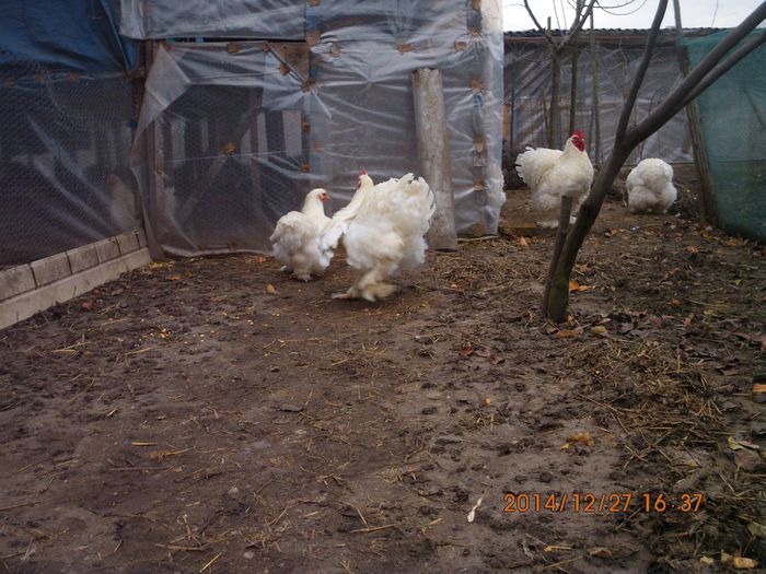 10847176_1583040778596388_5485622729005109307_o