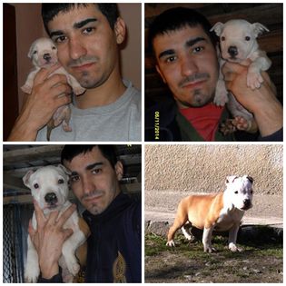 cum a crescut; cum a crescut
