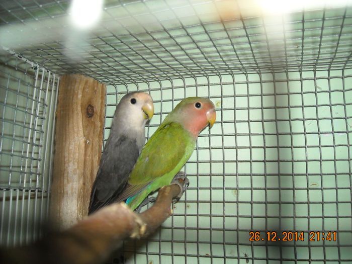 DSCN0120