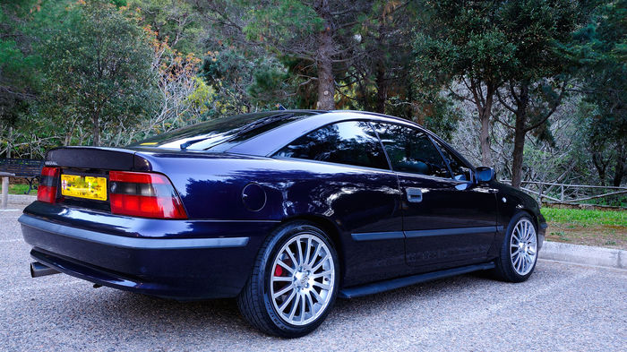 calibra309