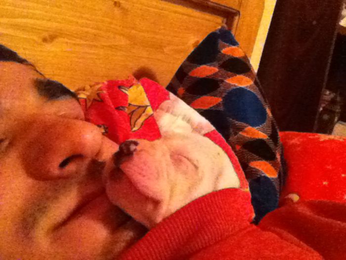 Picture 004 - altele