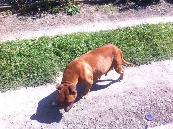 Picture 016 - altele