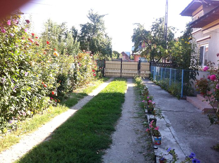 Picture 025 - altele