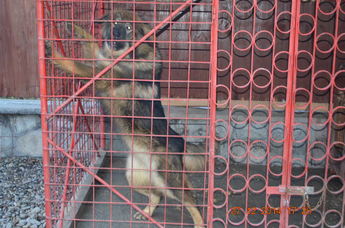 PRINTESA acum implineste un AN