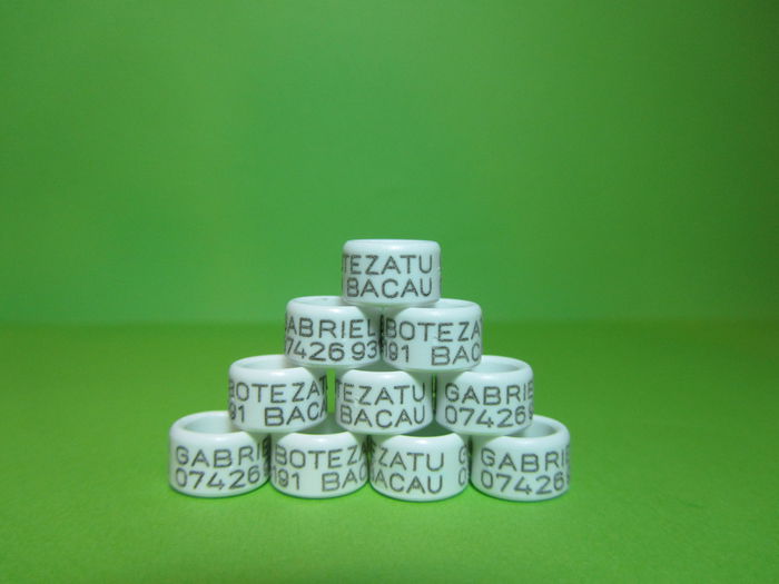 PLASTIC PERSONALIZATE 1.5 LEIBUC