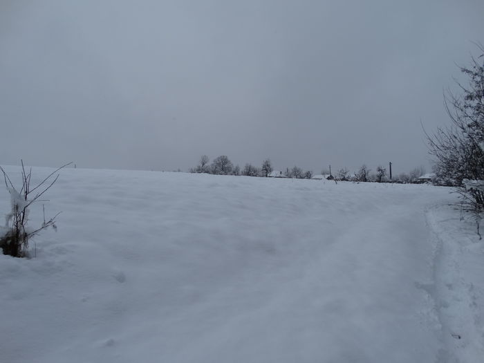 DSC04313