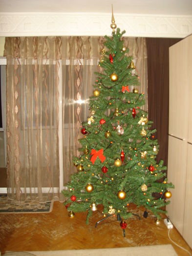 DSC00294 - Flavius alexandru