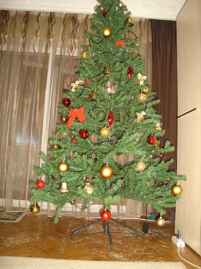 DSC00298 - Flavius alexandru