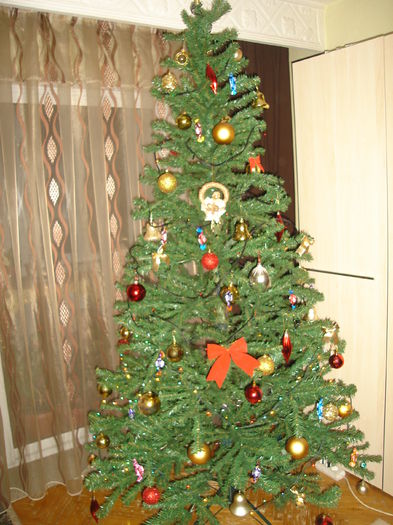 DSC00303 - Flavius alexandru