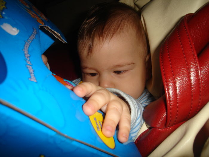 DSC00377 - Flavius alexandru