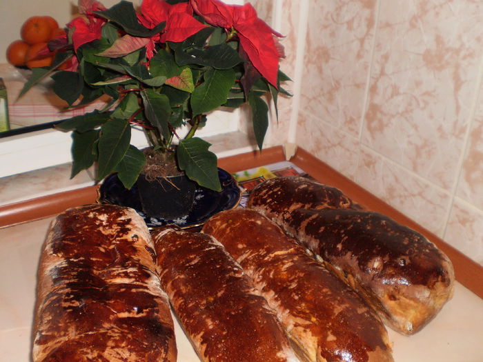 P7030093 - CRACIUN 2013-2014