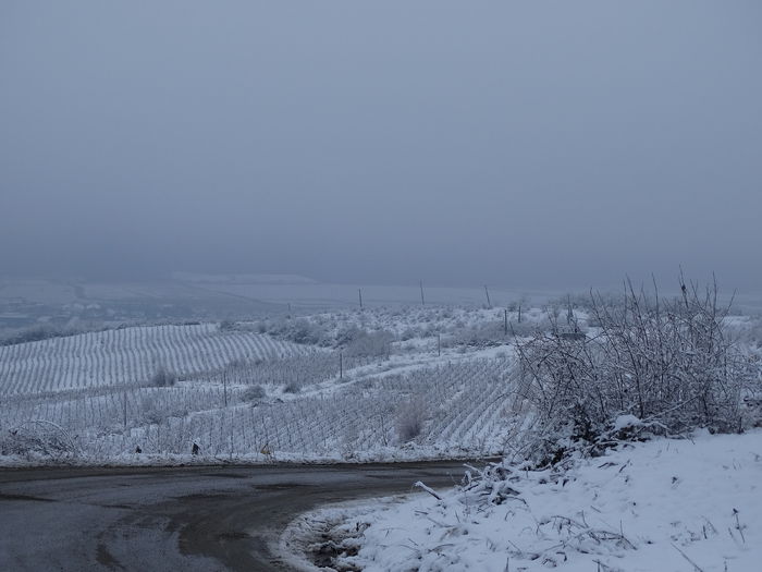 drumul catre...oaza de bucurie