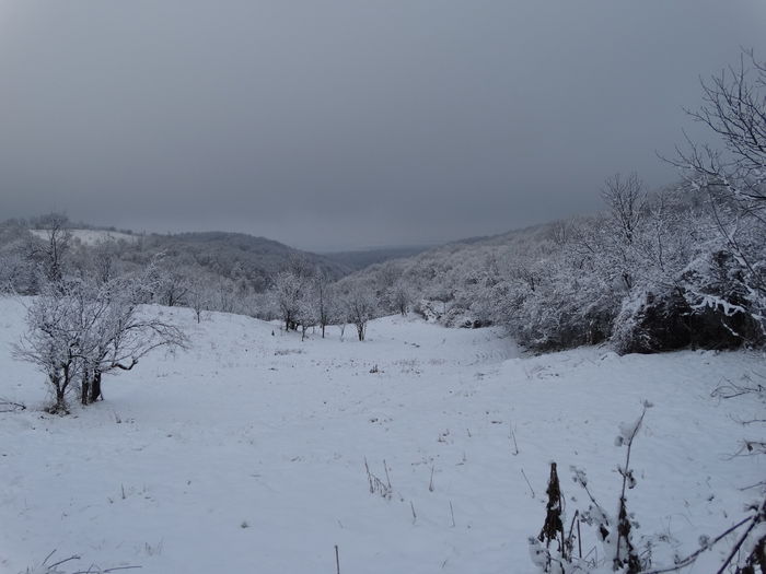 nu e multa zapada - m-iarna2014-2015