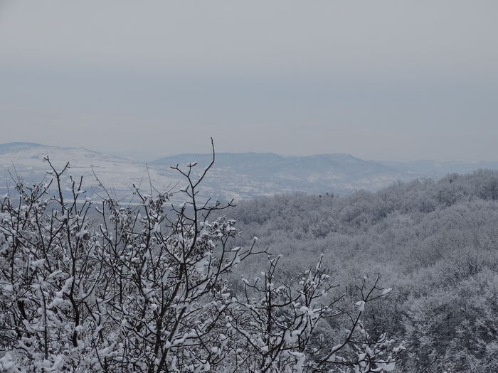 coloreaza privelistea-n alb