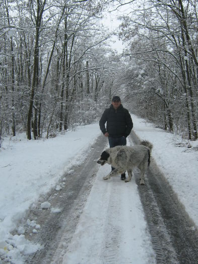 Picture My plants 1933