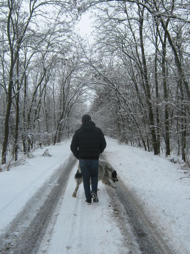 Picture My plants 1937